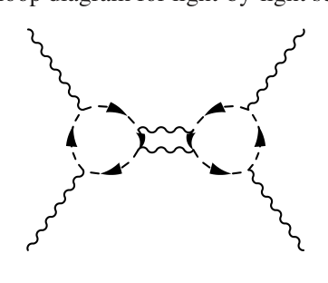 A 3-loop Feynman diagram for light-by-light scattering, showing four external photon lines connected to a central loop structure with internal fermion propagators.