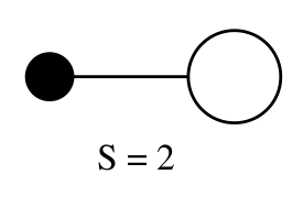 费曼图，包含一个实心圆点（外部顶点）连接到一个空心圆圈（自相互作用顶点），下方标注对称因子 S = 2。