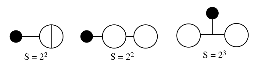 三个费曼图，分别展示了带有不同自能修正的一点函数连接图，每个图下方标注了其对称因子S。